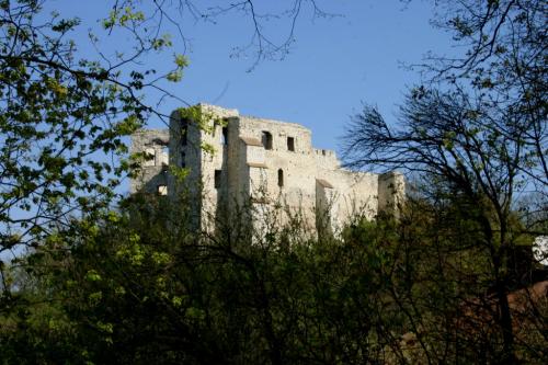 Widok z Góry Trzech Krzyży na ruiny zamku  w Kazimierzu Dolnym